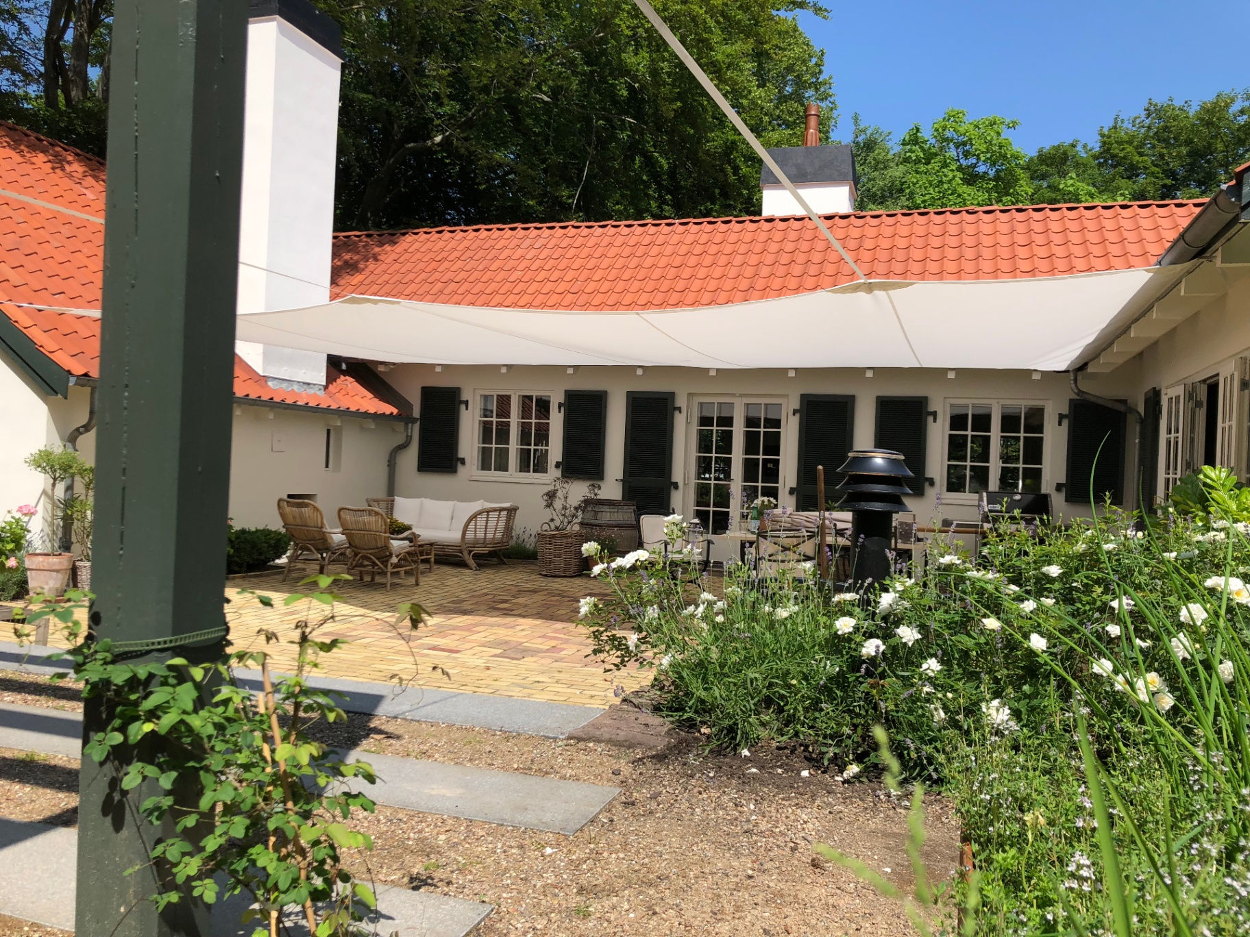 Solsejl over gårdhave med hvide roser og lavendel